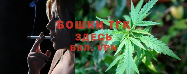 винт Рославль