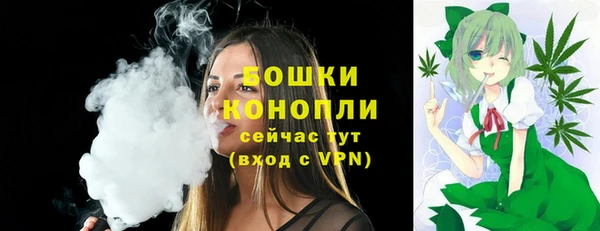 винт Рославль
